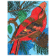 Творчество, Раскраска по Номерам А4 Птичка с Цветными Карандашами ЮНЛАНДИЯ 311907, фото 8