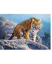 Пазл Тигр на скалах Кастор