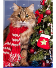 Роспись по холсту Новогодний котик у елочки Рыжий кот