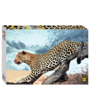 Пазлы 2000  детал. "Леопард в дикой природе" Степ
